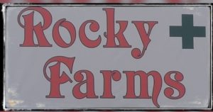 15492110 1775203039410111 9177143874514680722 n 2 300x158