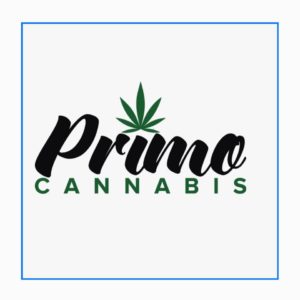 51137457 395226307704257 5302265817017090048 n 300x300