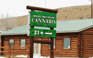 RMC Dinosaur 2 300x188