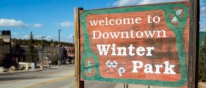 Silver Fraser WP 1 300x128