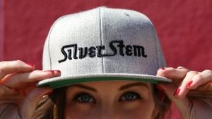 Silver stem 1 300x168