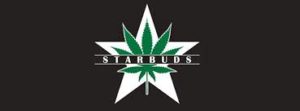 Starbuds 3 300x111