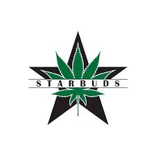 Starbuds logo 4
