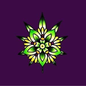 cfa850728b79b40a6eed5b6156c7c8e5 1 300x300