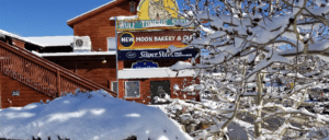 silver Nederland 1 300x128