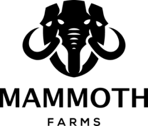 Mammoth Farms logo 2 1 300x256